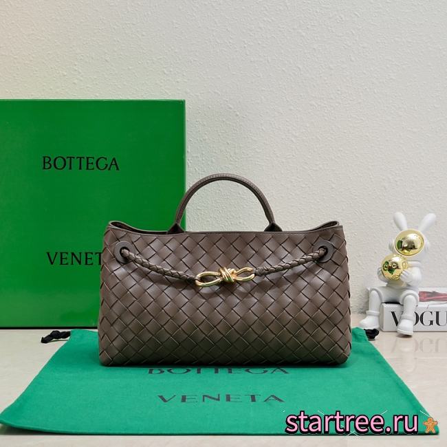 Bottega Veneta East-West Andiamo Fondant-29x18x10cm  - 1