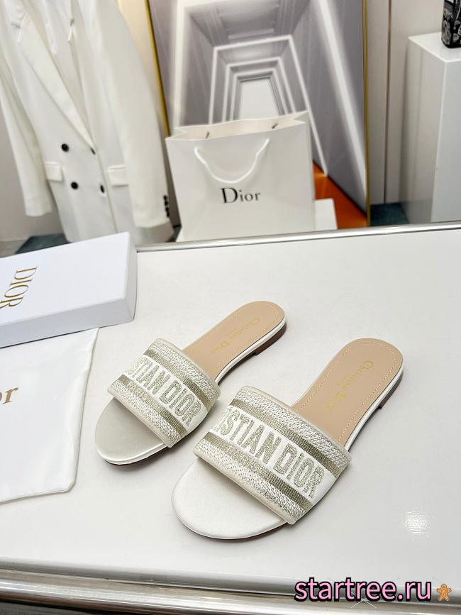 Dior Slippers 005 - 1
