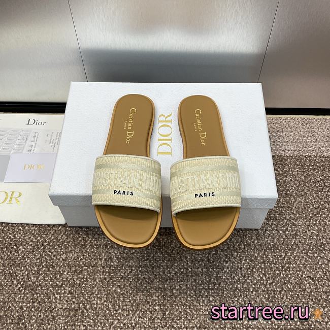 Dior Slippers 008 - 1