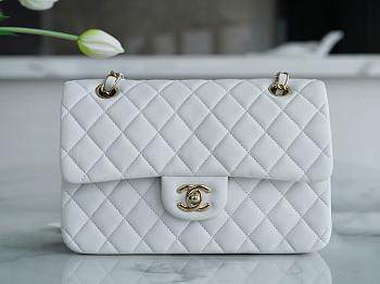 Chanel Small Classic Double Flap White Lambskin Light Gold Hardware-23cm