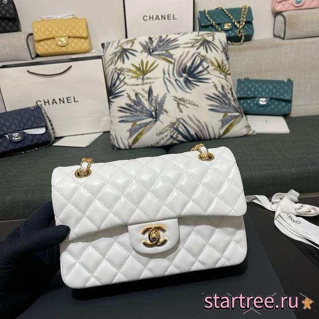 Chanel Small Classic Double Flap Lambskin White Gold Hardware-23cm - 1