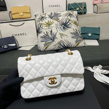 Chanel Small Classic Double Flap Lambskin White Gold Hardware-23cm