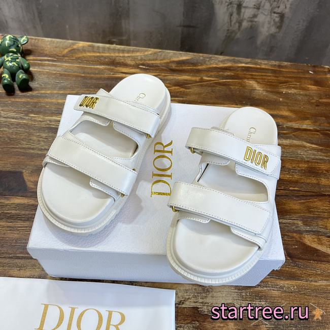 Dior Slippers 012 - 1
