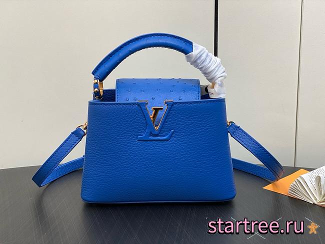 Louis Vuitton Capucines BB Ostrich Leather 012 - 1