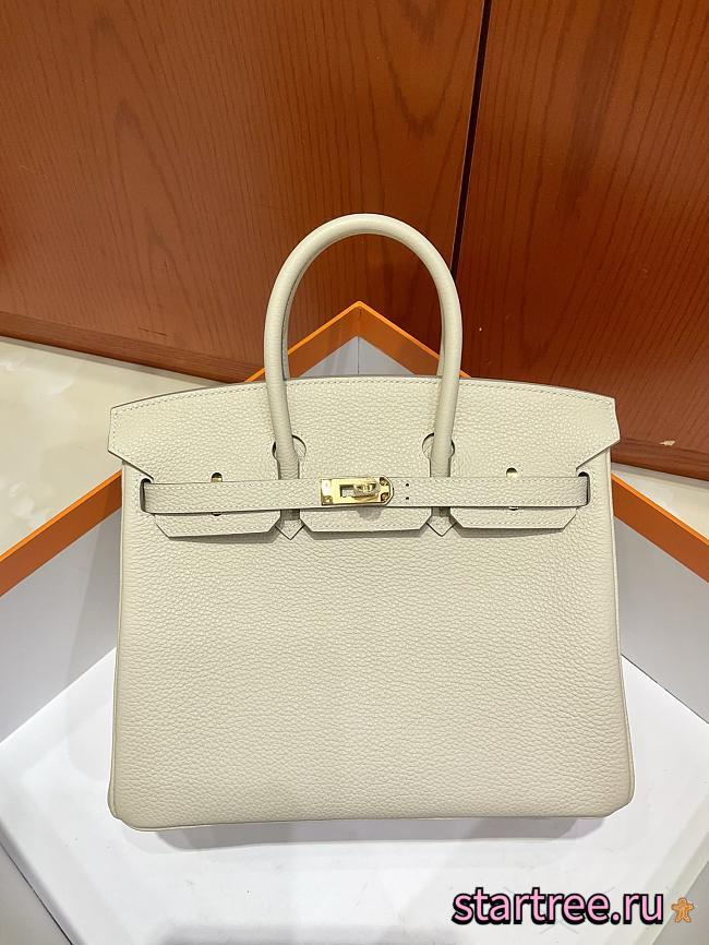 Hermes 25 Birkin Bag White - 1