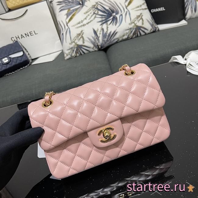 Chanel Small Classic Flap Bag in Pink With Gold Hardware-23cm - 1