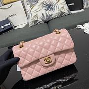 Chanel Small Classic Flap Bag in Pink With Gold Hardware-23cm - 1