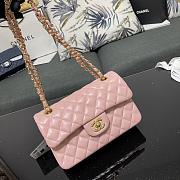 Chanel Small Classic Flap Bag in Pink With Gold Hardware-23cm - 4