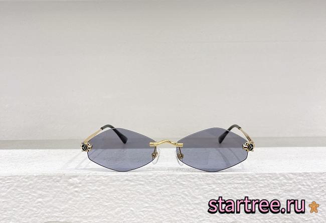 Cartier Sunglasses 003 - 1