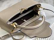 Louis Vuitton Capucines CohotBag MM  - 2