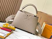 Louis Vuitton Capucines CohotBag PM - 1