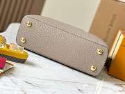 Louis Vuitton Capucines CohotBag PM - 3