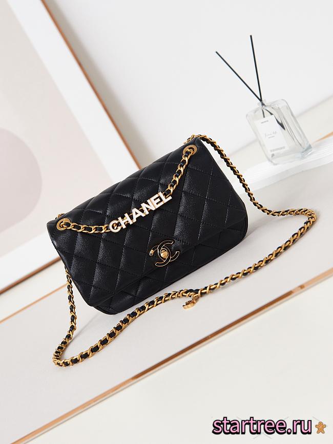 CHANEL SMALL FLAP BAG Lambskin & Gold-Tone Metal-15.5 × 23 × 8.5 cm - 1