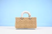 Dior Lady D-Joy Medium Natural Macrocannage Raffia - 26cm - 6