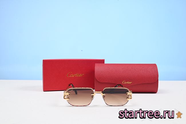 Cartier Sunglasses 004 - 1