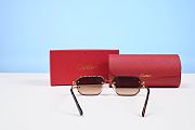 Cartier Sunglasses 004 - 6