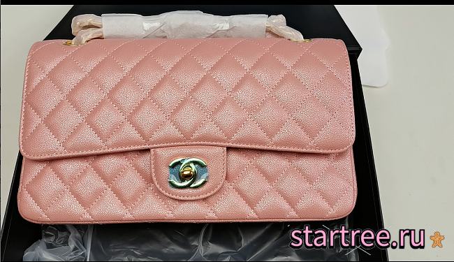 Chanel Medium Classic Flap In Shiny Leather-25cm - 1