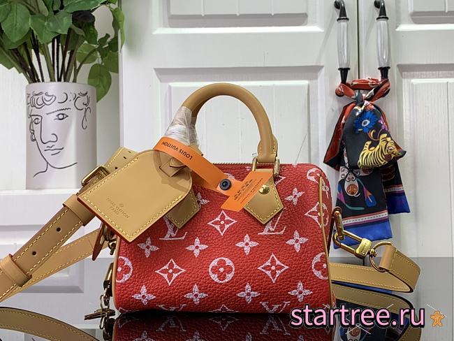 LOUIS VUITTON LV SPEEDY BANDOULIÈRE 18 M24419-18*12*10CM - 1