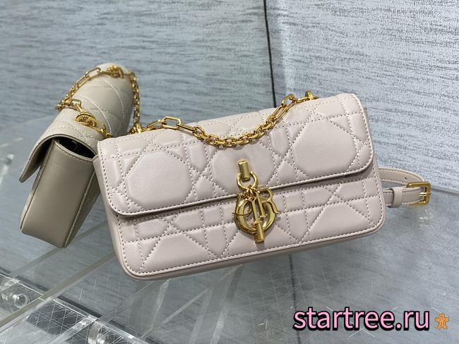 DIOR Miss Daisy Mini Bag Pink lambskin leather oversized rattan-22x12.5x4cm - 1