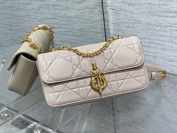 DIOR Miss Daisy Mini Bag Pink lambskin leather oversized rattan-22x12.5x4cm
