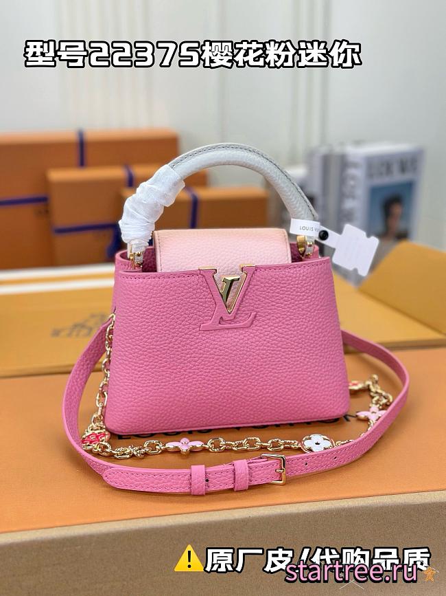 Louis Vuitton Capucine BB Rose Pink M22375 - 1