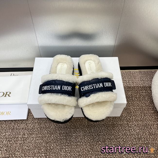 Dior Slipper 013 - 1