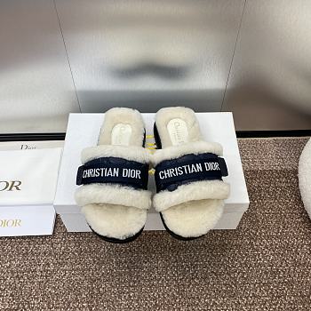 Dior Slipper 013