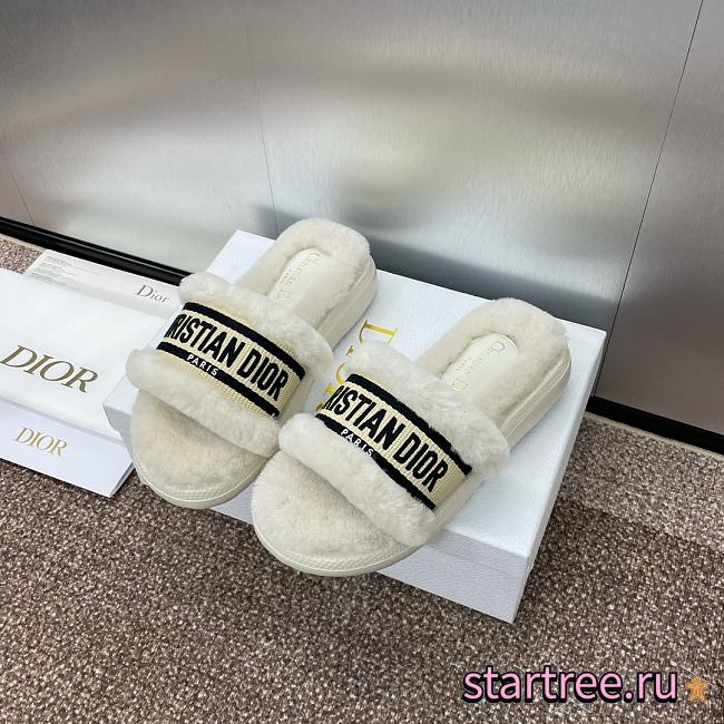 Dior Slippers 014 - 1