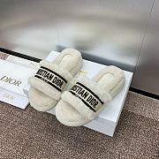Dior Slippers 014 - 1