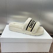 Dior Slippers 014 - 5