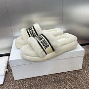 Dior Slippers 014 - 4