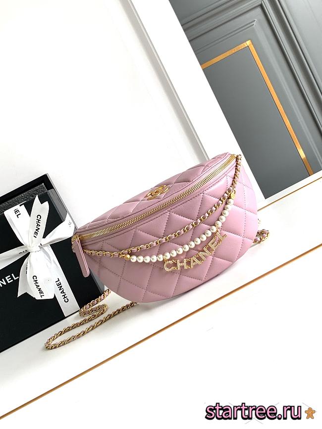 Chanel Waist Bag Pink-17x24 X 11cm - 1