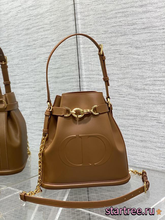 Dior Medium C'est Bag Golden Saddle CD-Embossed Calfskin-24cm - 1