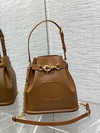 Dior Medium C'est Bag Golden Saddle CD-Embossed Calfskin-24cm