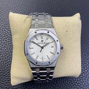 Audemars Piguet Watch 002 - 1