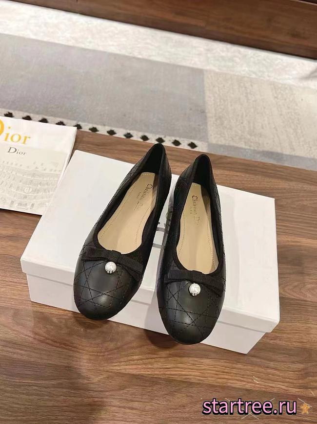 Dior Ballet Flats - 1
