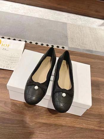 Dior Ballet Flats