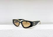 Chanel Sunglasses 007 - 6