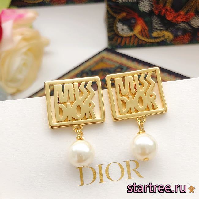 Dior Earrings 008 - 1