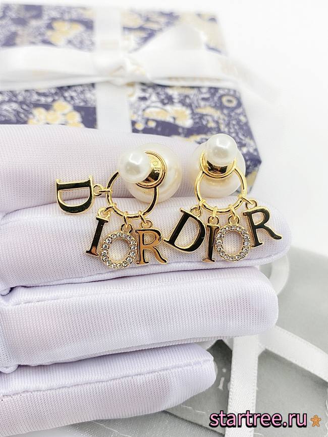 Dior Earrings 009 - 1