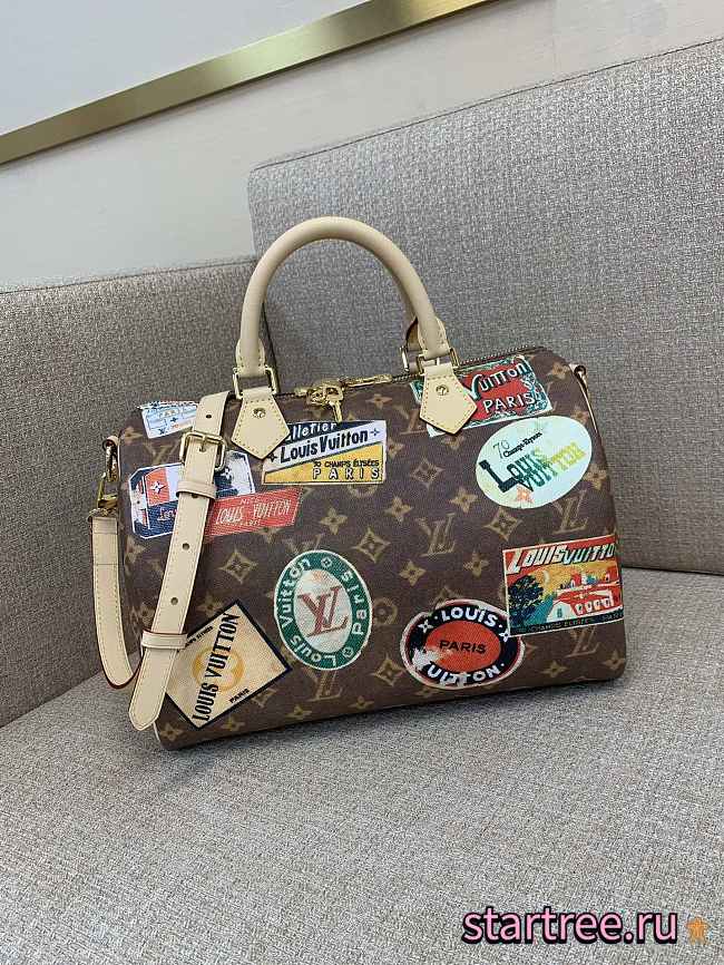 Louis Vuitton LV Speedy Bandoulière 30 Bag M47087-30*21*17CM - 1