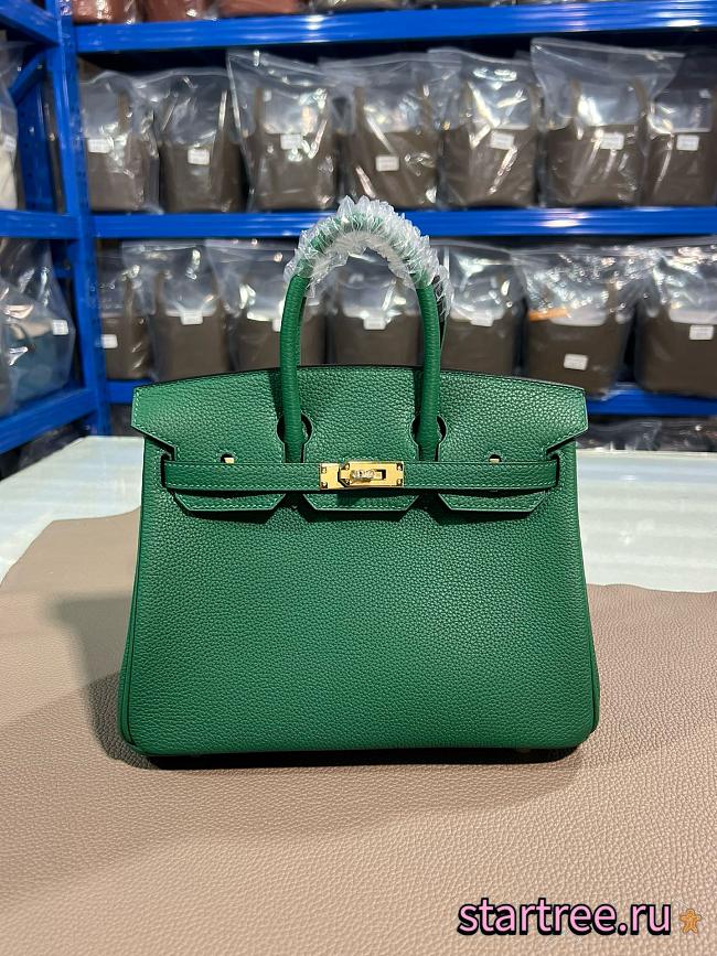 Hermes 25 Birkin Bag Green In Tagon leather - 1