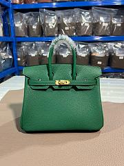 Hermes 25 Birkin Bag Green In Tagon leather - 1