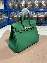 Hermes 25 Birkin Bag Green In Tagon leather - 5