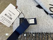 Louis Vuitton Scarf 003 - 5