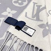 Louis Vuitton Scarf 006 - 6
