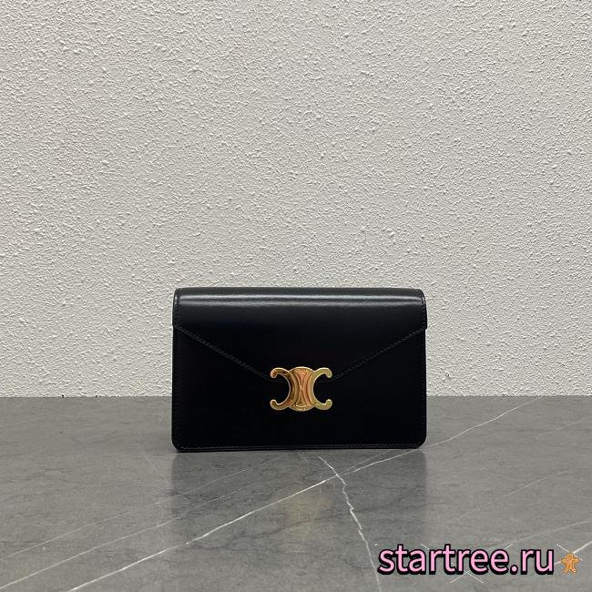 Celine Cuir Triomphe Woc Bag-19.5cm - 1