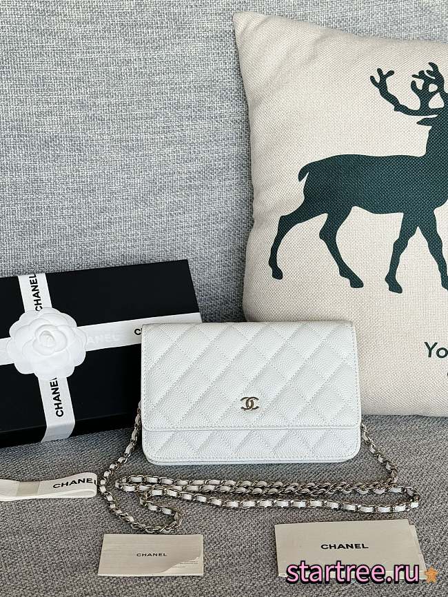 Chanel | Woc Wallet On Chain White Silver Hardware - 19cm - 1