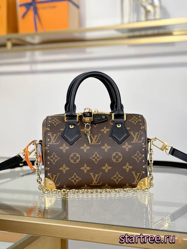 Louis Vuitton LV SPEEDY TRUNK 20 bag M13146-20.5*13.5*11CM - 1