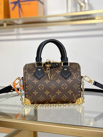 Louis Vuitton LV SPEEDY TRUNK 20 bag M13146-20.5*13.5*11CM